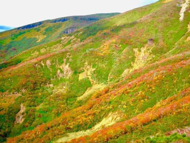 Yamanosho Hotel Yuzawa  Zewnętrze zdjęcie